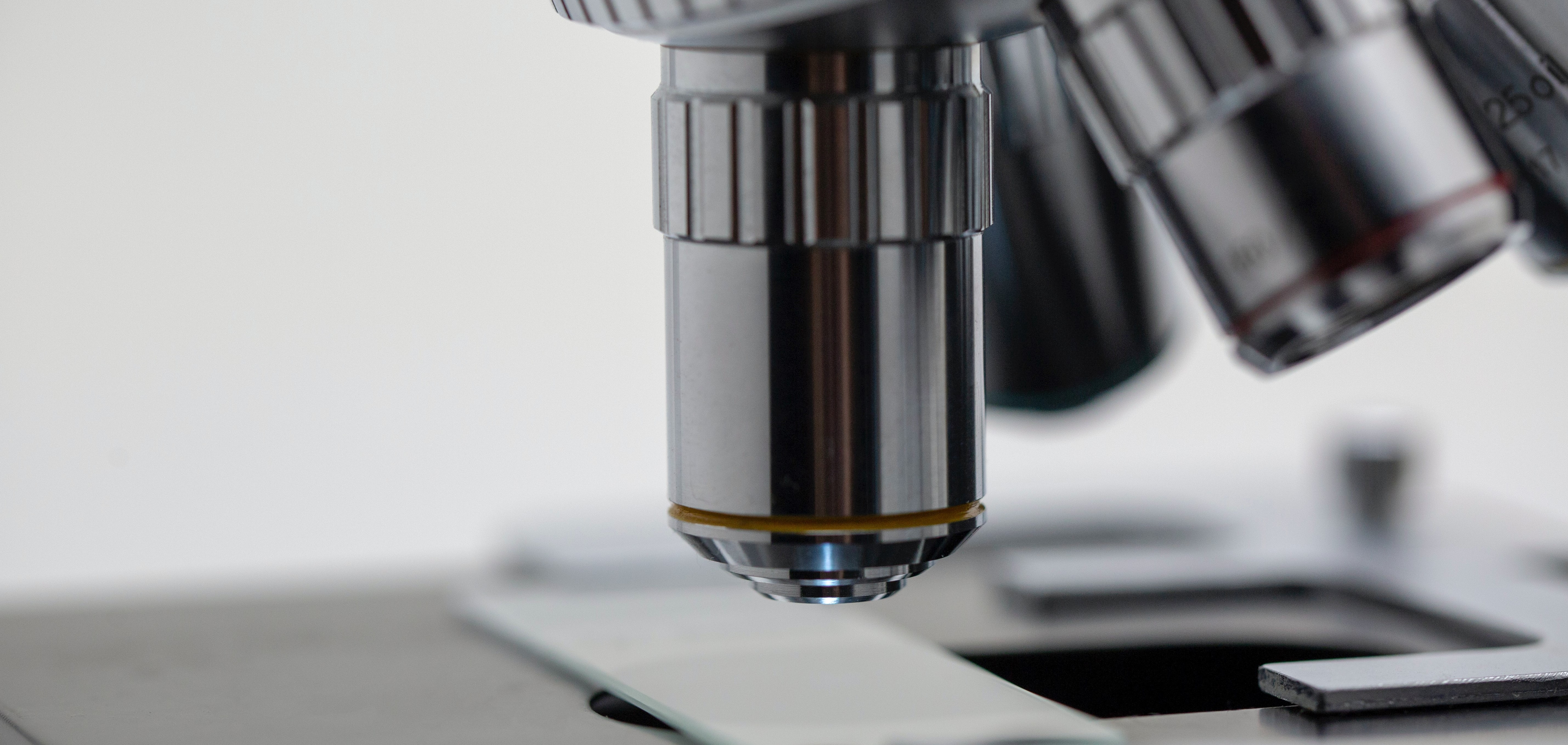 Course Image BIOLOGY 30 - Lynnes
