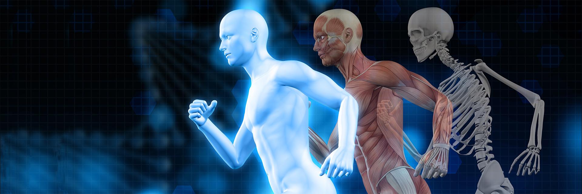 Course Image Kinesiology 30