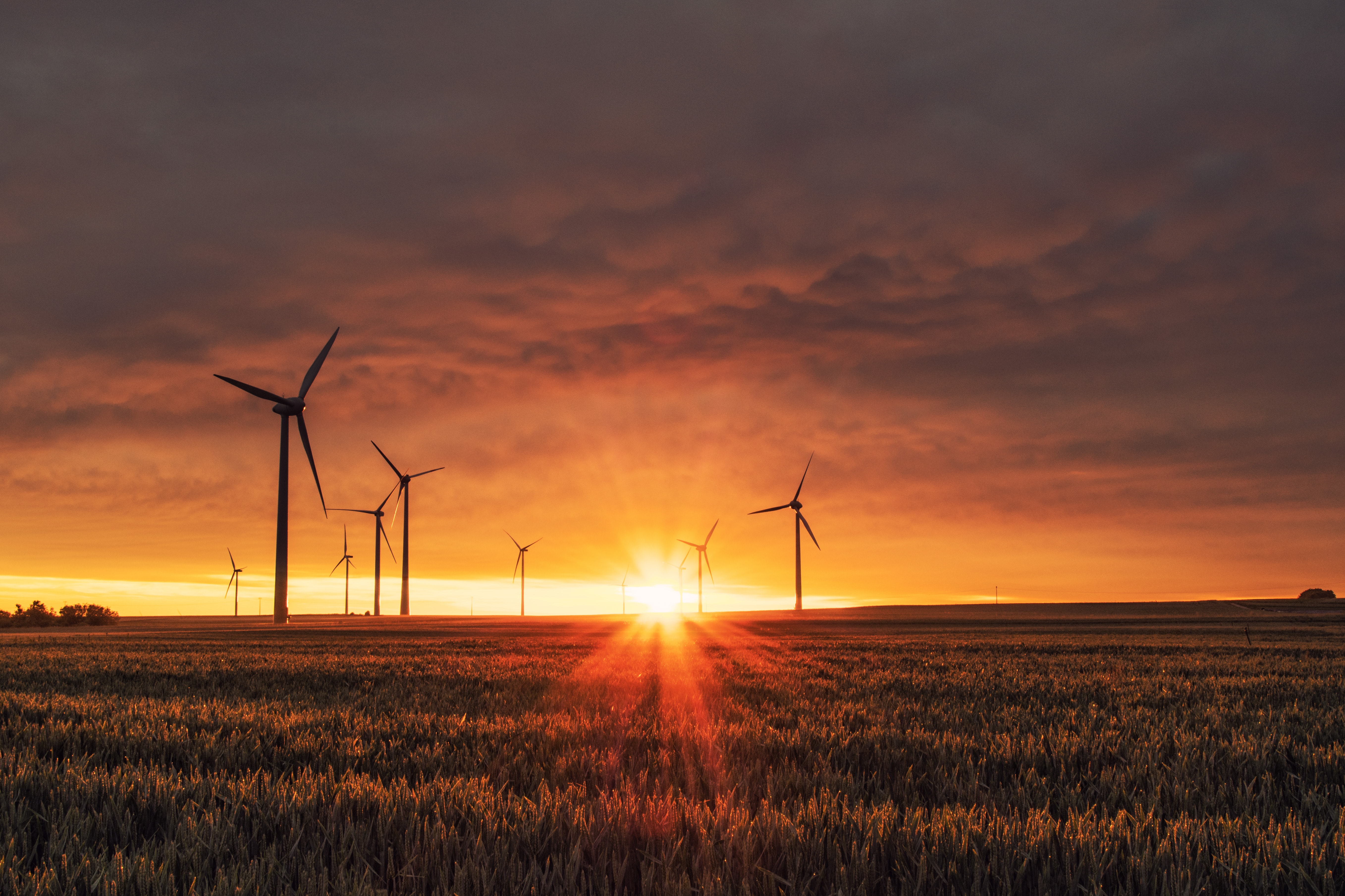 Course Image Environmental Science 20 - Lichtenwald