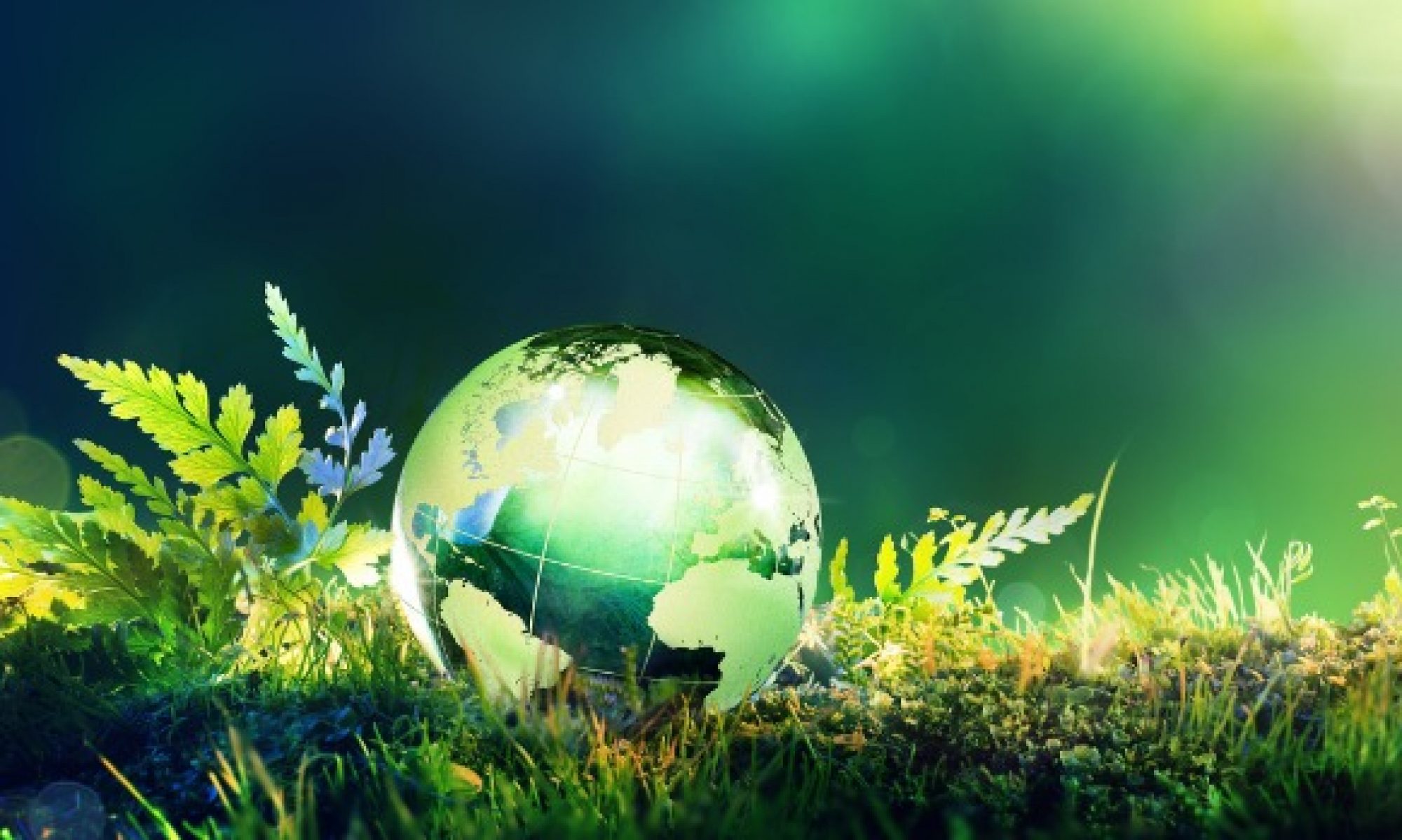 Course Image Environmental Science 20 - Lichtenwald V3
