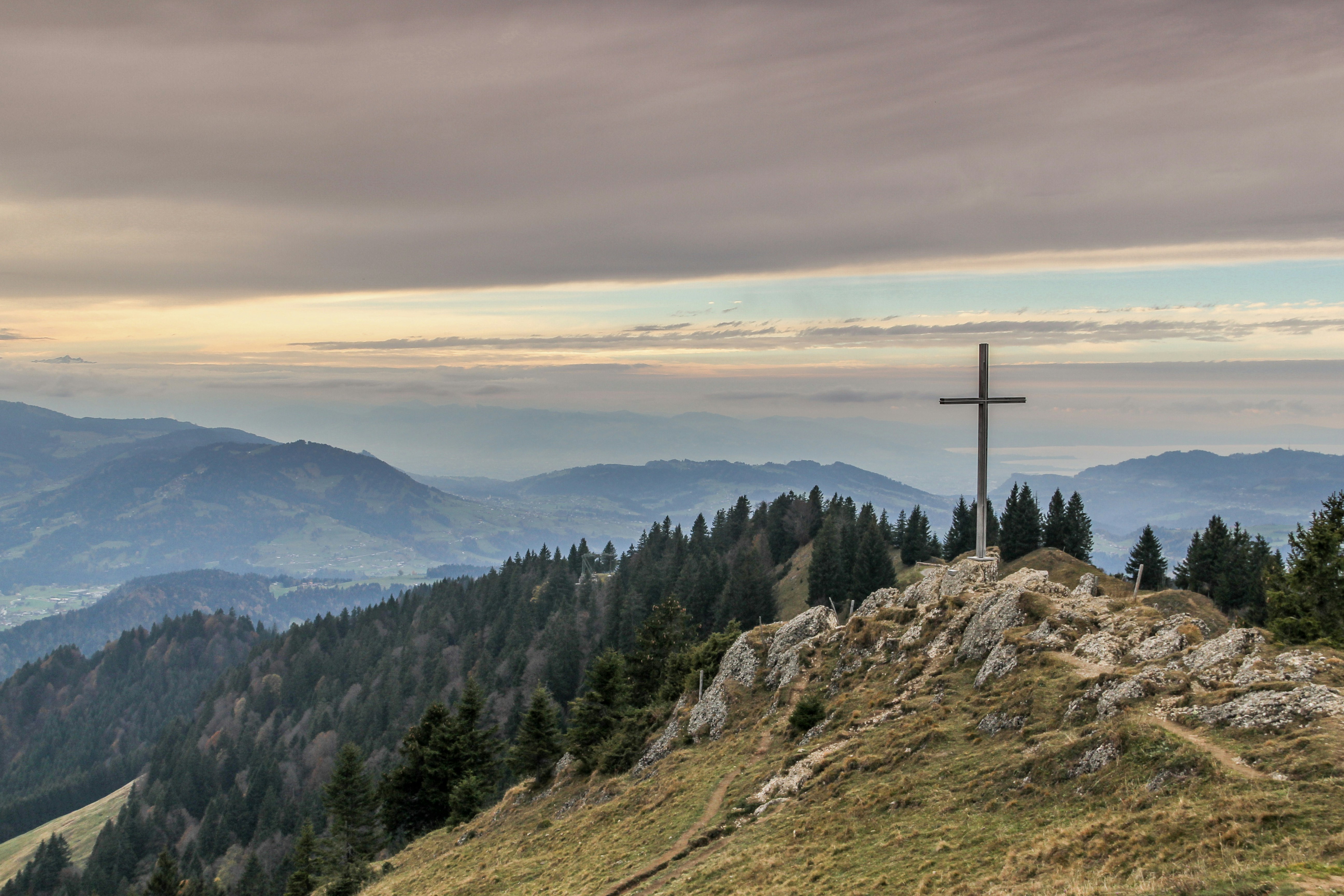 Course Image Catholic Studies 30 - Lichtenwald